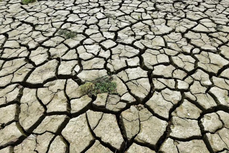 01630000-0aff-0242-4fa9-08da81a28a98_w1597_n_r1_st_s