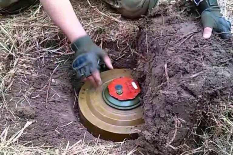 07102021-1633576833-880162952-mina