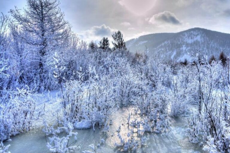 11c26a3a49dcbcba5f0f4d8e6e456faf_x3