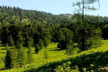 13221004_1731292640482271_3624455648351686486_n