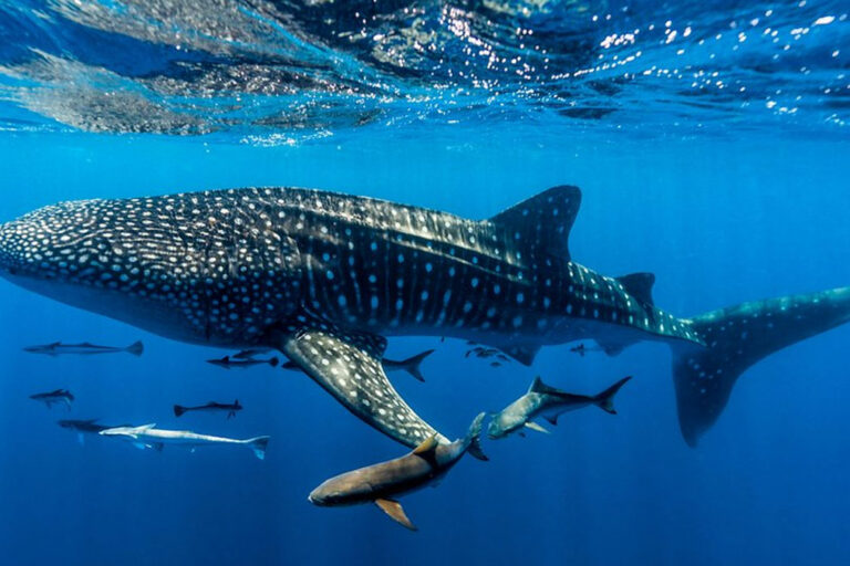 132297923164040bb62c97cd6b1a6c