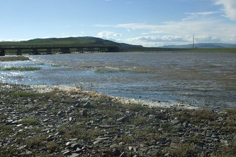 13532792_831910623605752_4228735263778959521_n