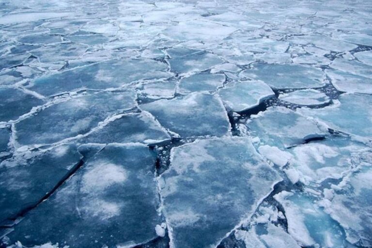 13f7c3a20c22a55e37f82c5fd0122c7619f0cc67