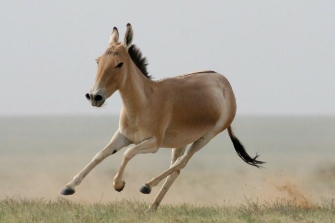 151492fe6e851203bae368654dd3d7d8_1