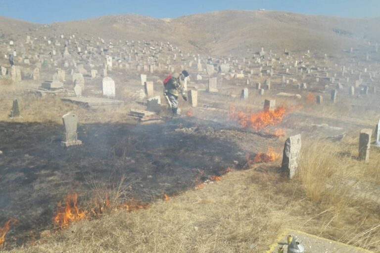 166349438_1740532472810637_5853264329448496692_n