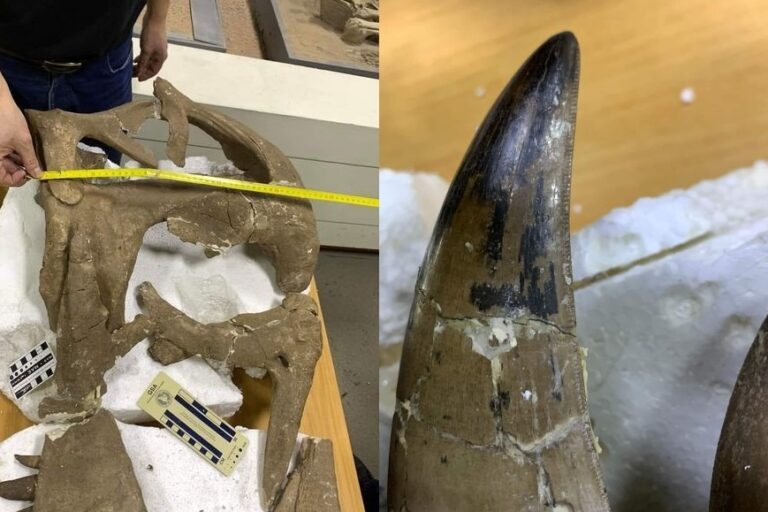 1706180835417424876_697474559260323_654548212241019711_n_1