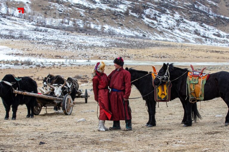 174d419fd28ca15f419cb1d7fe218e77