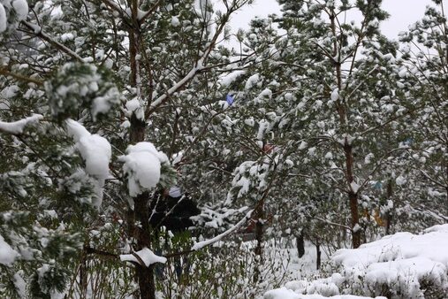 1ab7033ddce6330216db254c5d0aa9fd