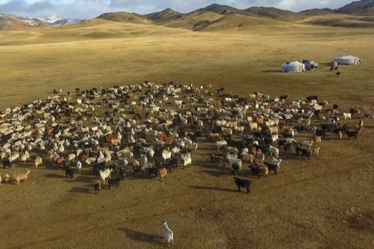 1e77479066d182a6ae1461f5efce2f6f