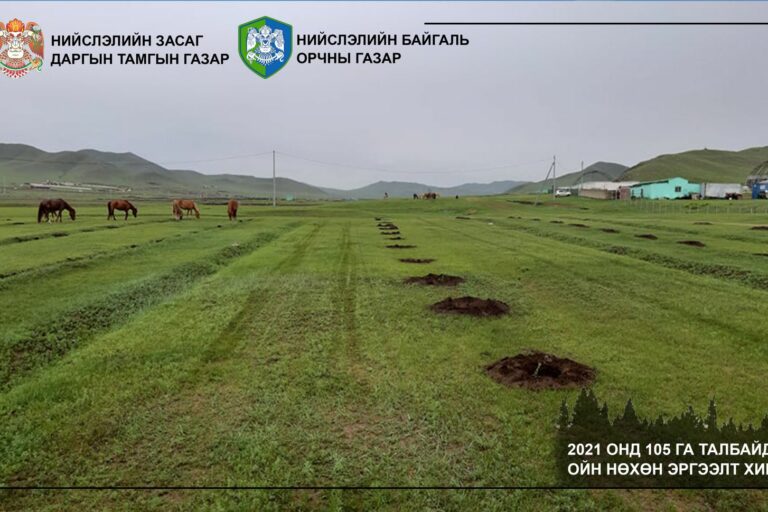 1fmtz2_imported_image_x974