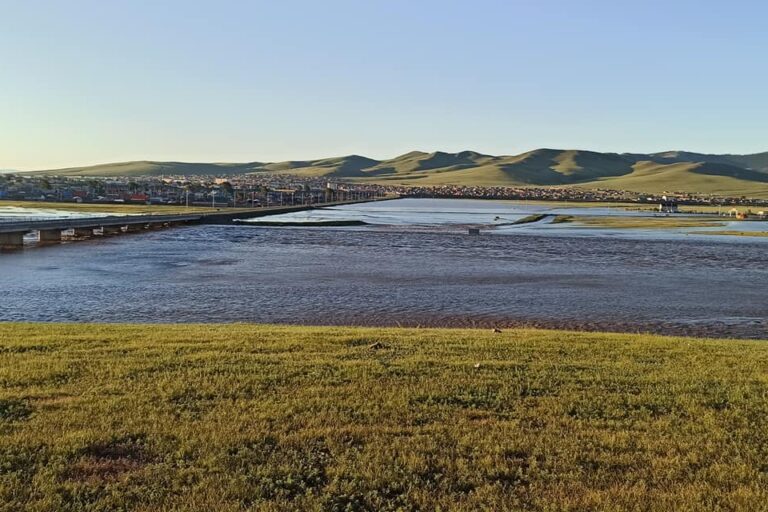 211080552_390062689293963_3757058125145034247_n