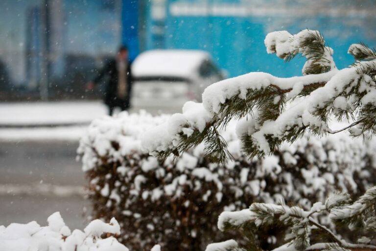 2256c40bc39418e6971885b0b2a9472f_2