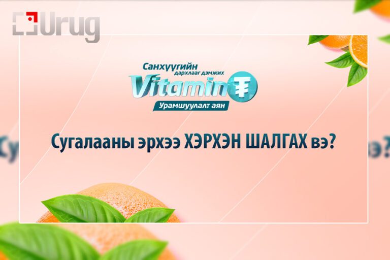 242740471_638552653794095_554671688202730903_n