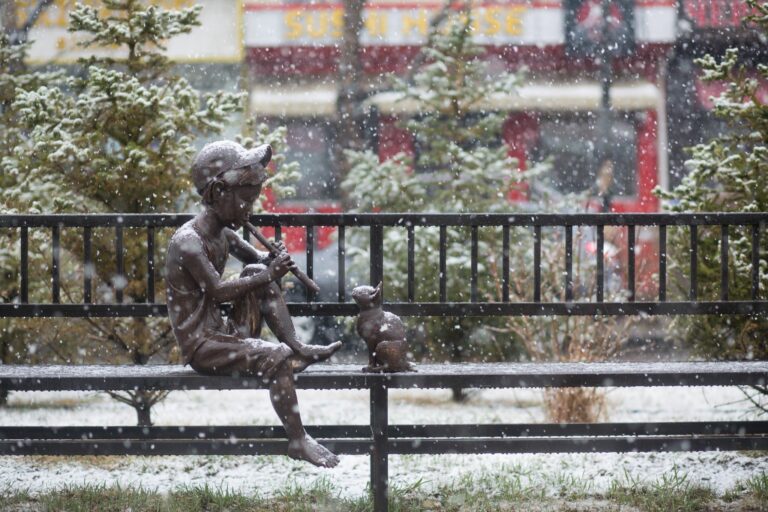 244598019_1019418395559813_3761593012305417872_n