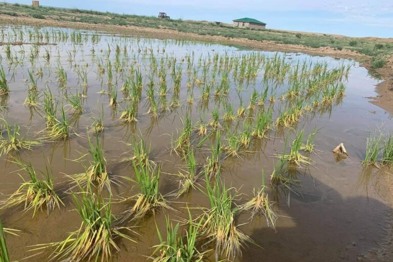 255927832_403746521478329_5428093713285526301_n