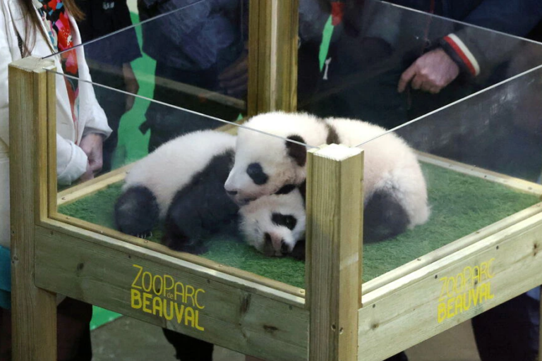 261855842_210099154622435_4826719622995872473_n