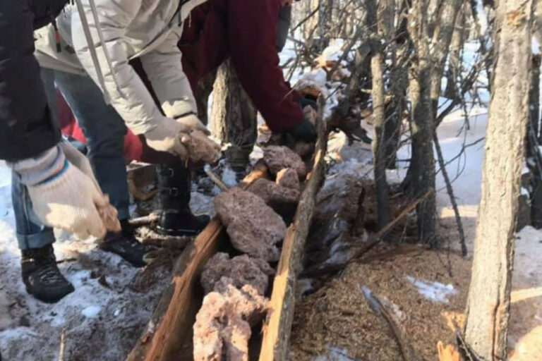 269066-16022021-1613464462-1979372425-maraa