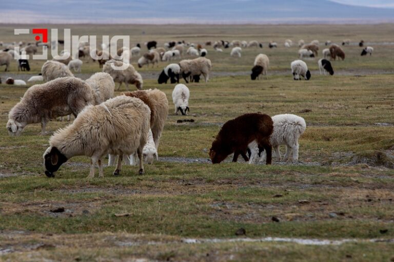 271342b64a88a98cd6c89b2e95044f39