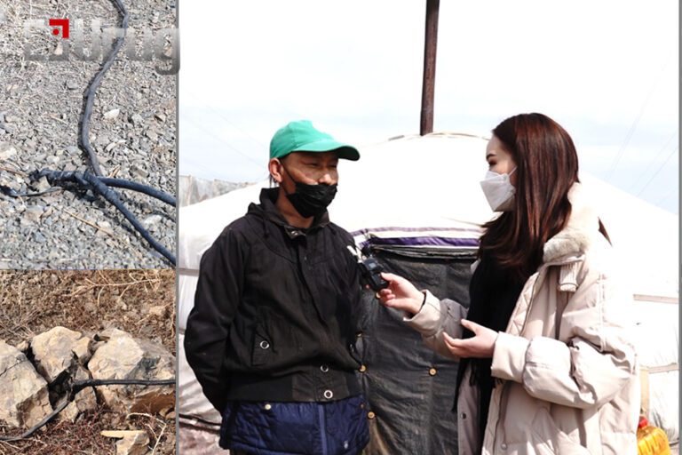 275216556_702327274232610_3753604279521899957_n