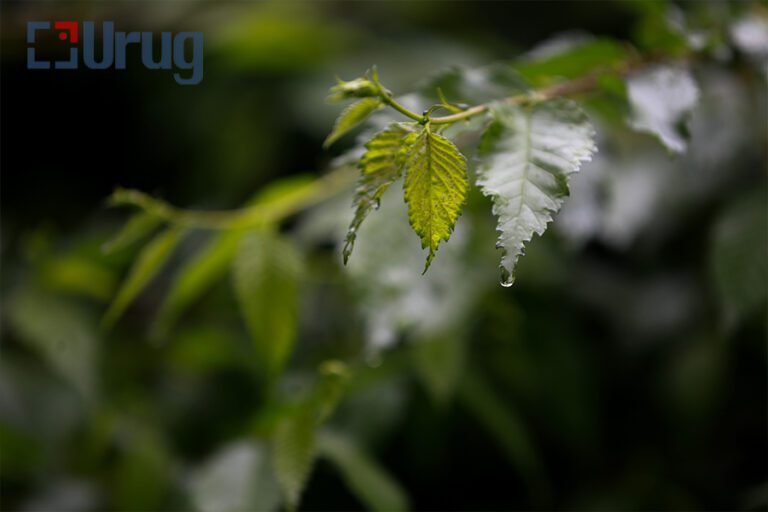 286451461_625437675134904_3856934201933942313_n