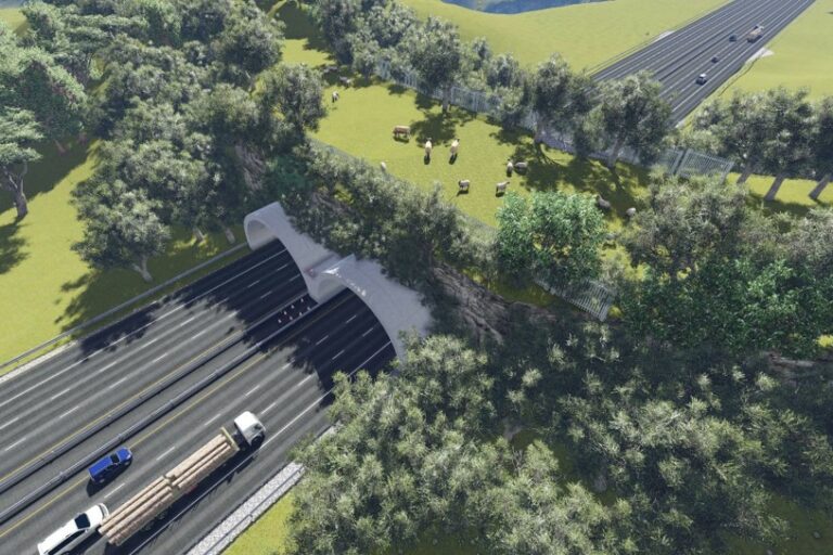 295621205_735009907779665_8073031788882261393_n