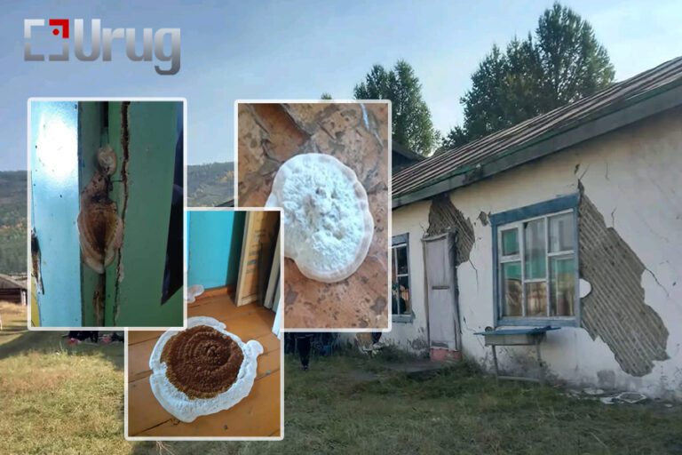 299887814_1969319793275895_8883884469844441252_n