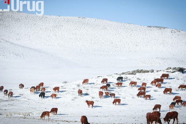 2a2c459edd47594b7006623e558938c9_B6LnPdm