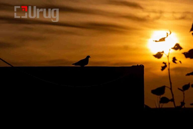 2f502fa32e3e884c1021a4f9d5e2b2b1