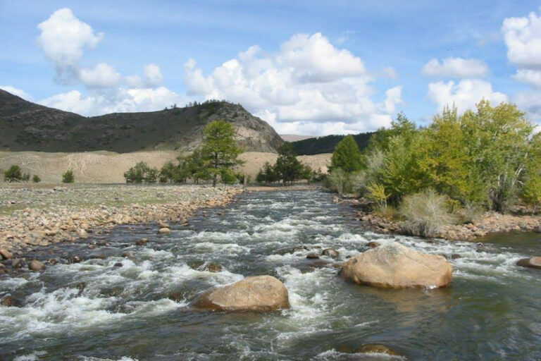 305827-02052023-1682992323-1258917758-2