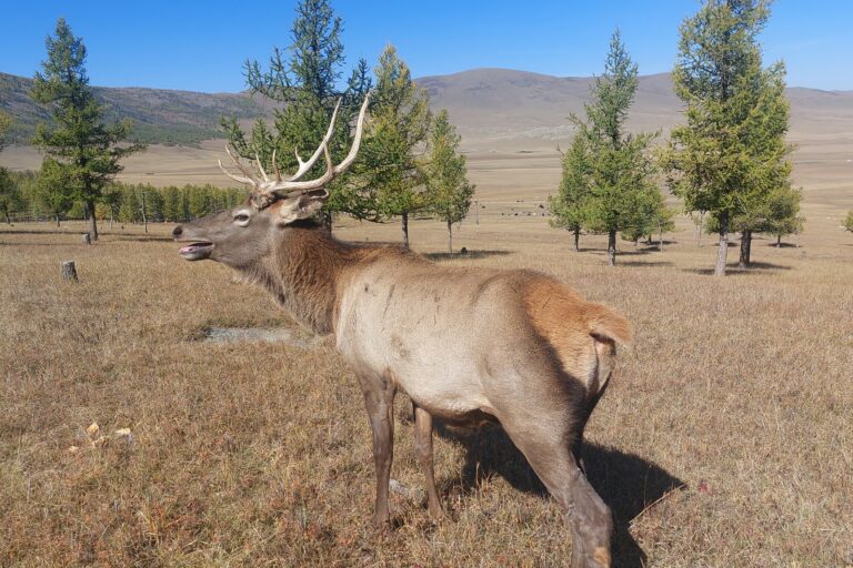 307952019_891418461835627_7694147430477445692_n_7rCySll