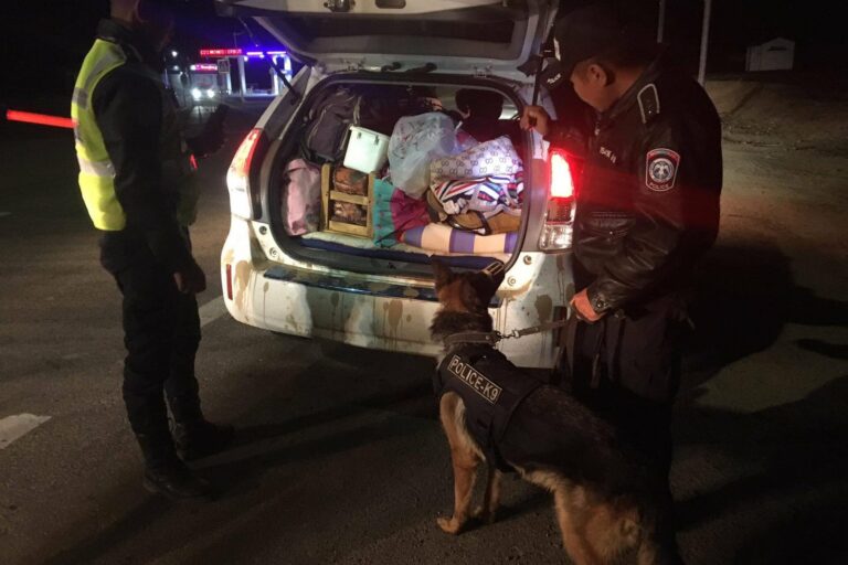 308108647_644534220441088_3856527658711870746_n