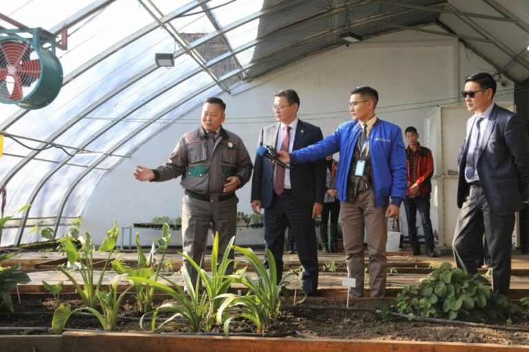 311632444_163487459625608_146944649295504283_n-1024×682