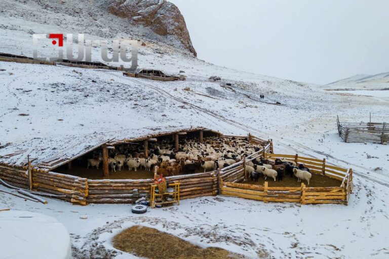 316995868_696931688417088_5266316553559637349_n