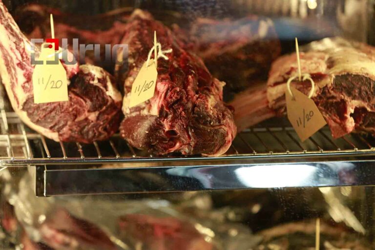 317227325_3031553570471813_7507747566566866815_n