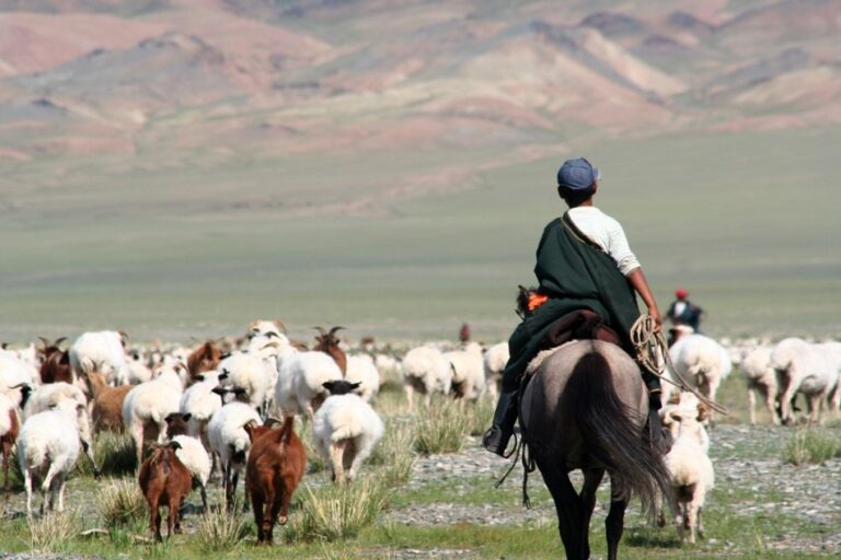 325146330_572770570944798_851473424548543863_n