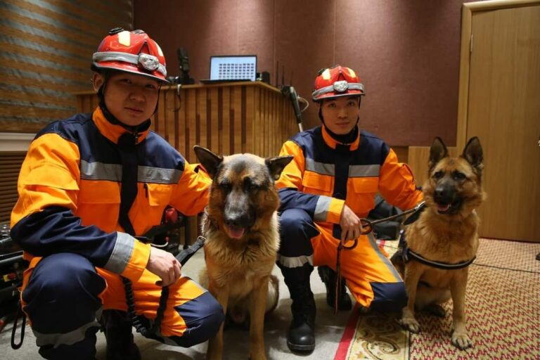 329482946_1358083211432715_3175551473386453990_n