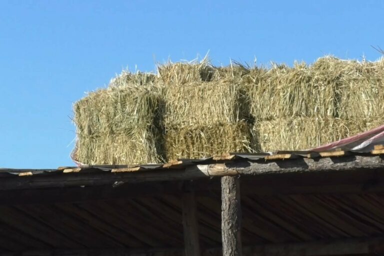 365437008_602088068739396_3239859732964178211_n