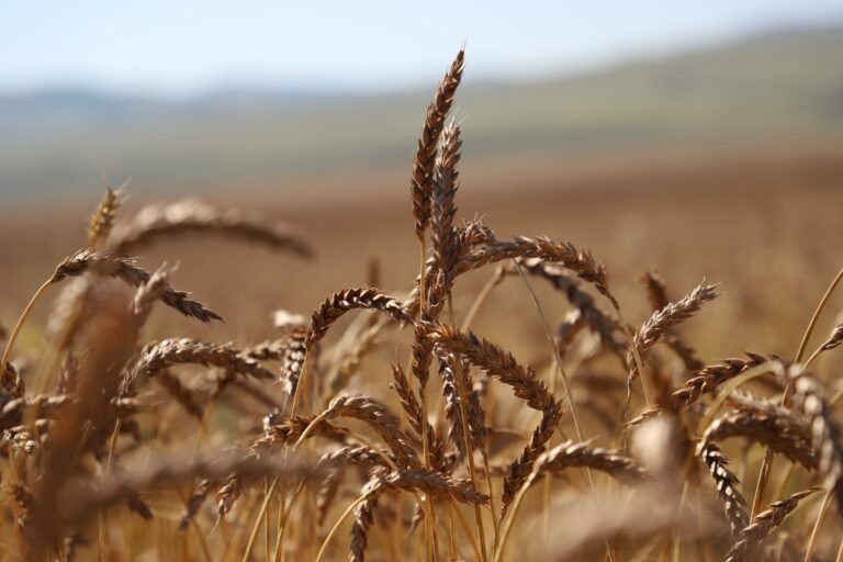 372691655_681489837358655_1698306309989760559_n