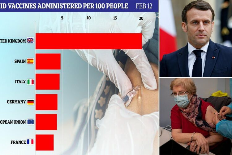 39215220-0-image-a-24_1613142856106-810×500