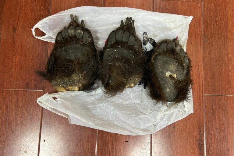 393832495_645813077712104_852455883001087564_n