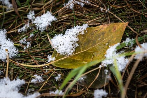 3ac4a73ce50a0eef24d473e64697bf63