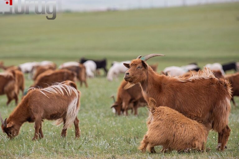 3f77ee0bd116d677af1ecf8621491f72