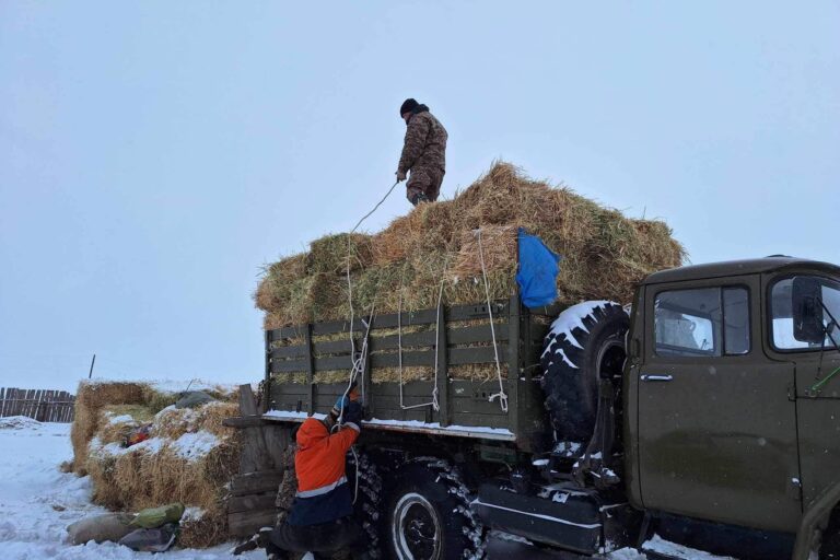 421491843_685430193763134_1387554350283898097_n