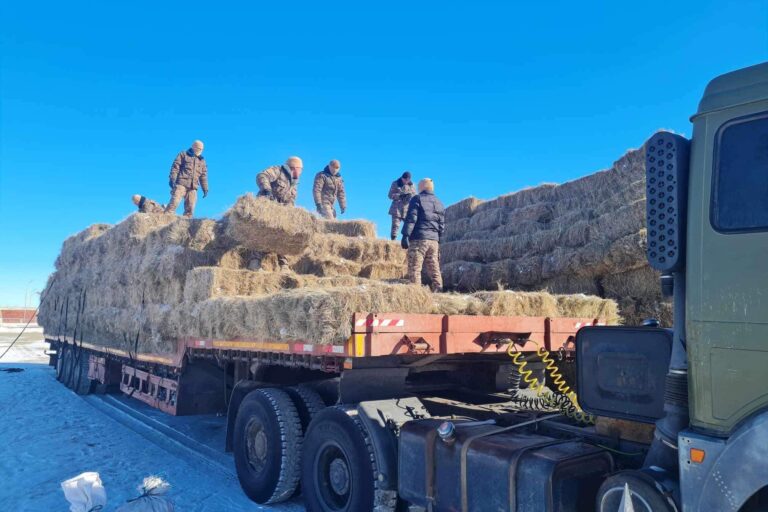 428604670_702148005424686_7979862681327088369_n