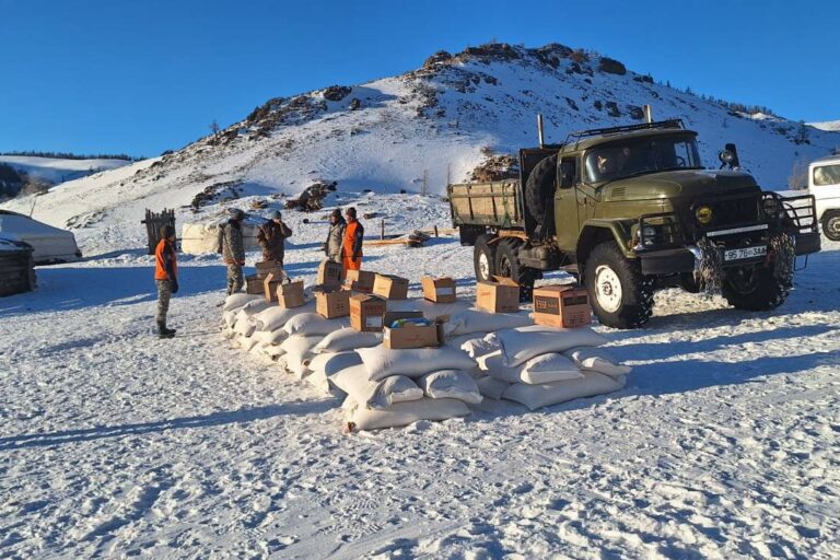 428627135_809190421236186_5338575729863089575_n