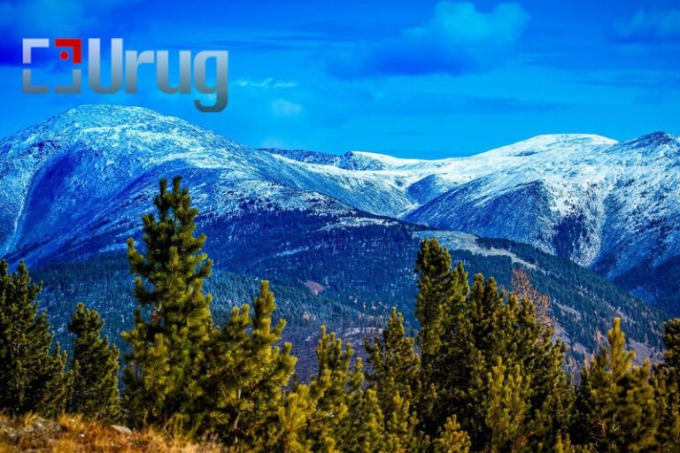 4c406ae78fb23d6557a75c8a17822f43