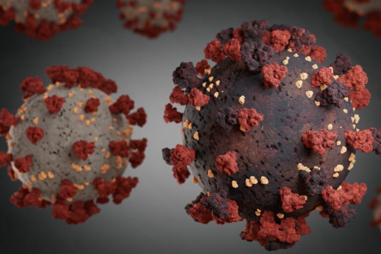 4hi6Fx5Y6bW7q3uvVeqgiU-1200-80