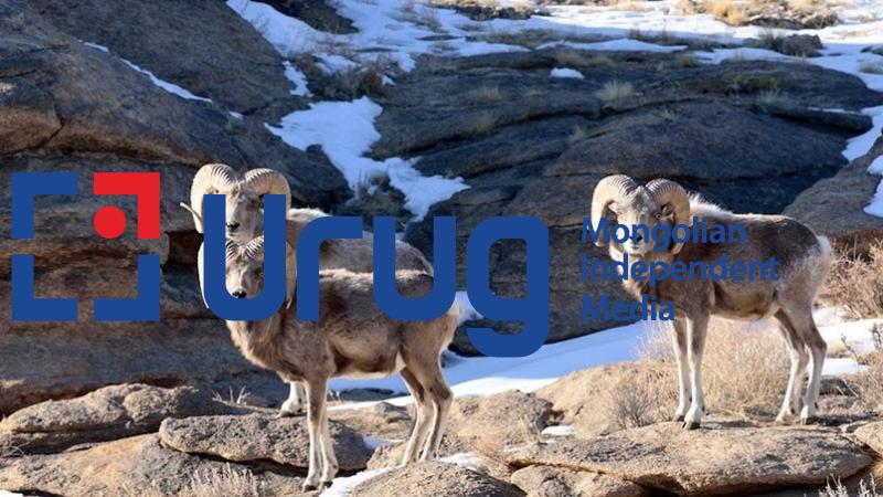 548a7635d0e5fdf776ea6633e78885ebee8d1274