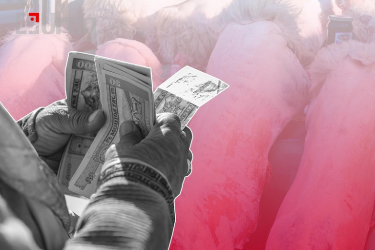 5A08E4E7-581A-47DE-8B20-1EFCED199596