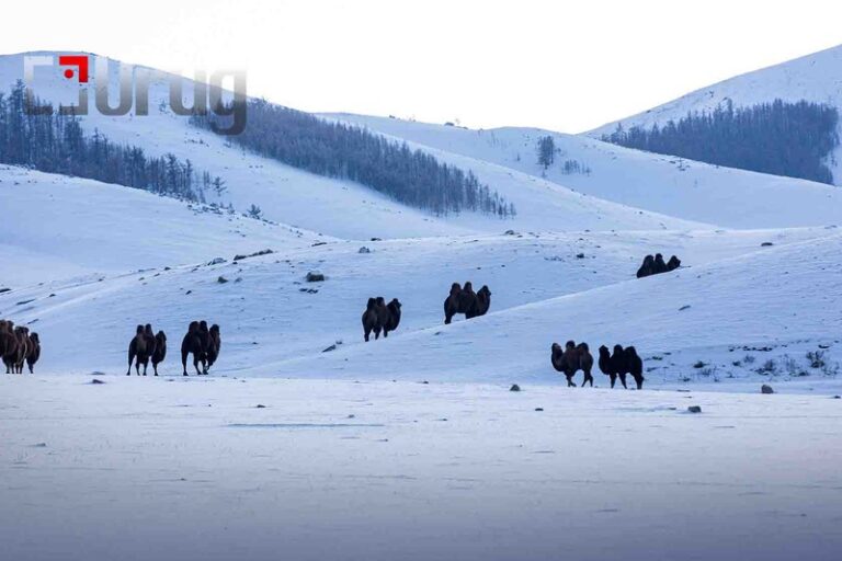 5e336b08eb9f07f3dadd91724ed4bb79